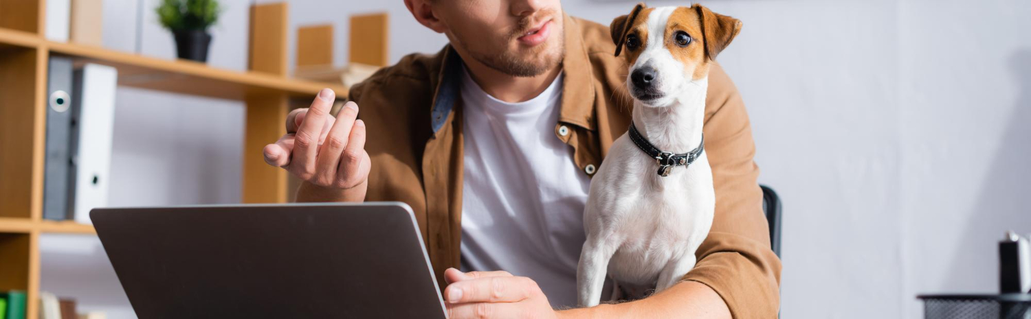 Dog and cat on suitcase